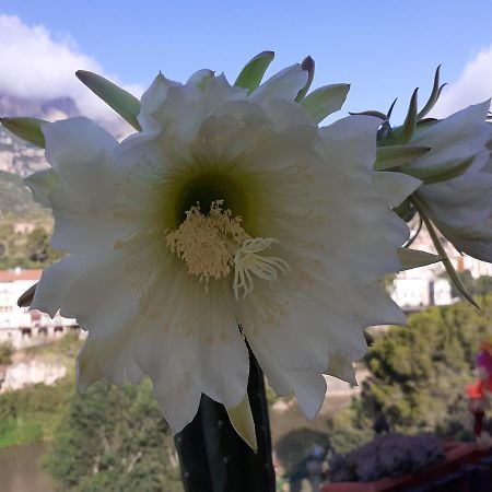 Piso Con Desayuno Incluido Y Vistas A La Montana. Leilighet Monistrol de Montserrat Eksteriør bilde