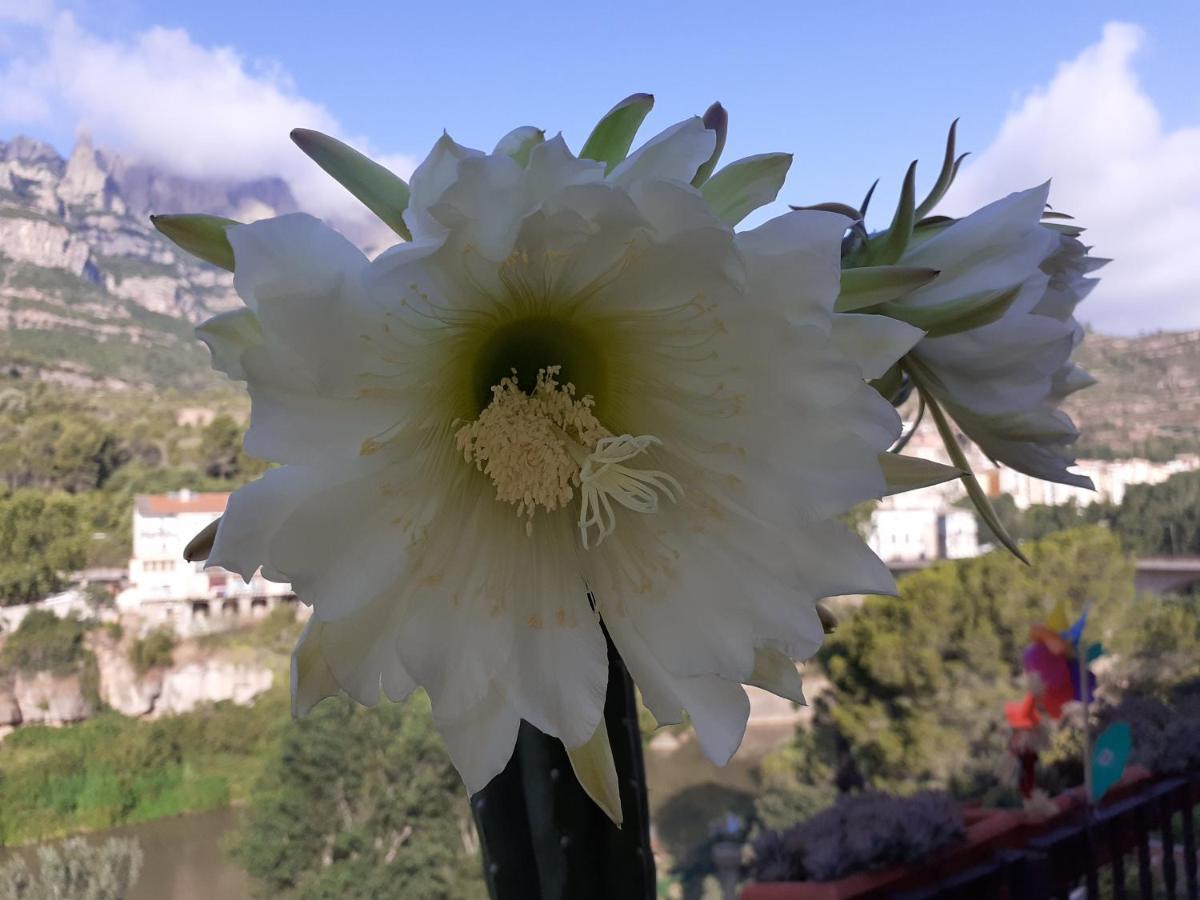 Piso Con Desayuno Incluido Y Vistas A La Montana. Leilighet Monistrol de Montserrat Eksteriør bilde